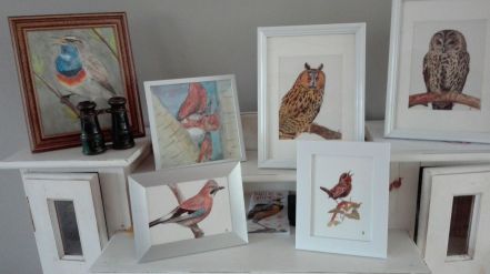 2016-06-08 - Vogeltjes voor Westhoffhuis