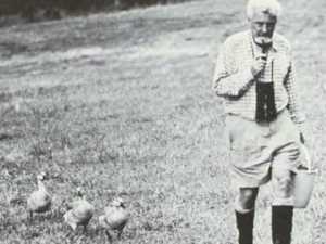 prof-konrad-lorenz-ii