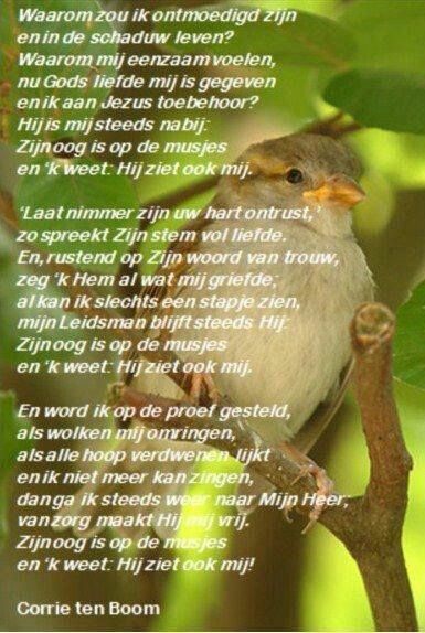 Meer waard dan een musje - Corrie ten Boom - Pinterest