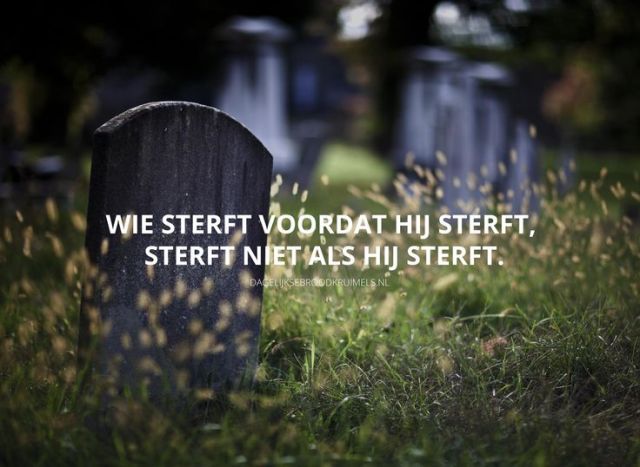 In der eewigheid niet sterven - Pinterest