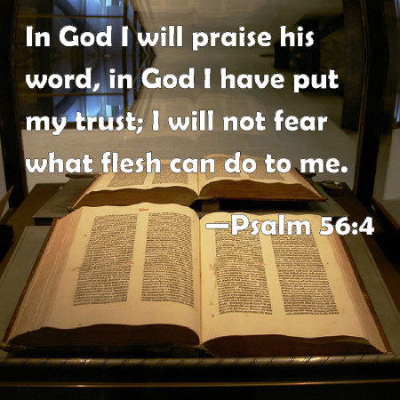 psalm-56-4 fear for man