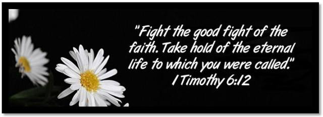 1 Tim 6-13 - Fight the good fight of faith - Eindtijd in Beeld