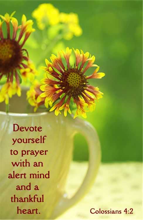 Colossians 4-1 Devote yourself to Prayers - Pinterest