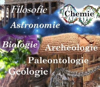 Diverse Wetenschappen - Schepper en Zoon