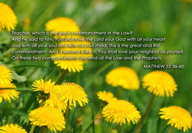 Matteüs 22 - eerste en tweedeGebod - English - god's word images