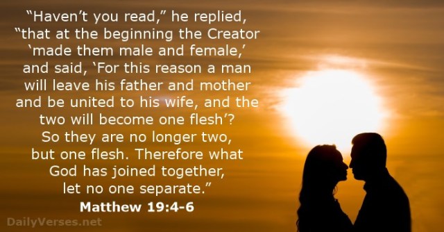 Matthew 19 4-6 - Havent you read - DailyVerses.net