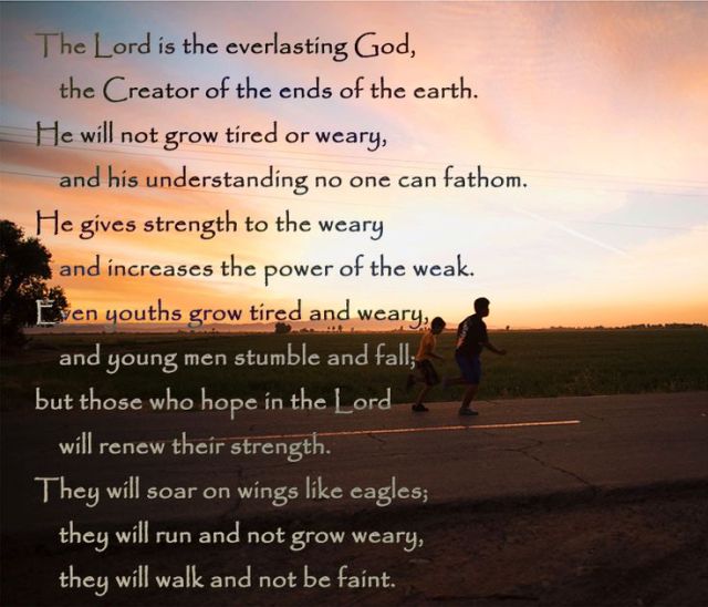 Jesaja 40 28-31 - Those who hope in the Lord - Pinterest