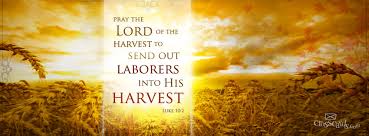 Lukas 10 2 - Pray the Lord of the harvest - Pinterest