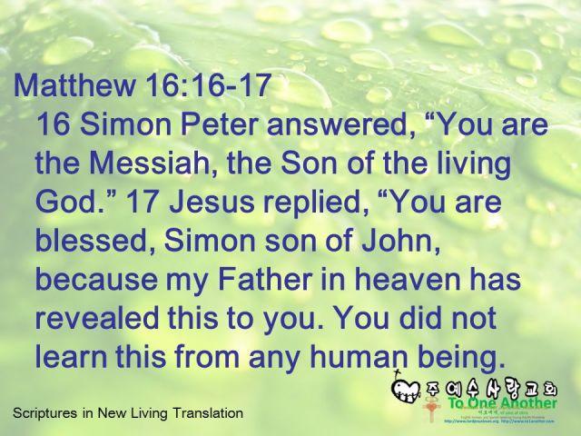 You did not learn this from any human being..