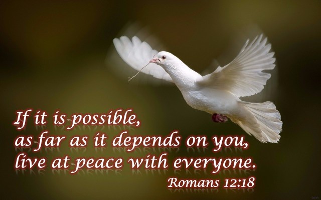 Romeinen 12 18 - as far as it depends on you - DailyPromiseCards