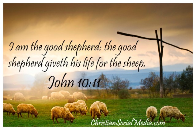 Johannes 10 11 - Ik ben de goede Herder - DustoftheBible