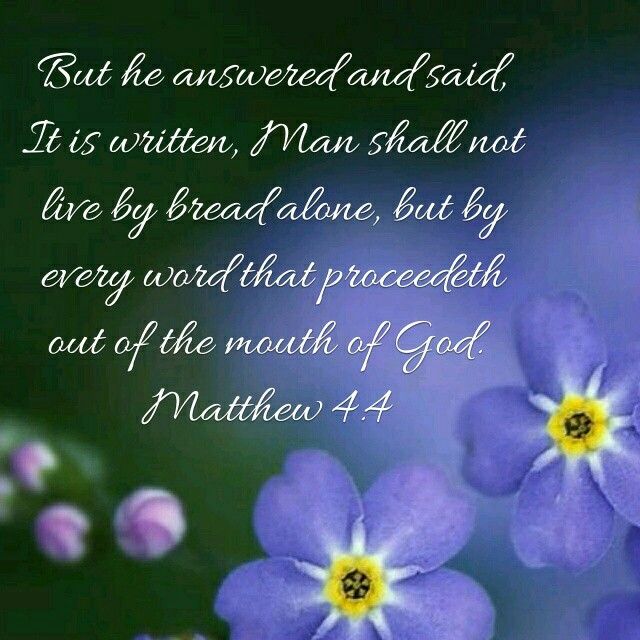 Matteüs 4 4 - Not by bread alone - Pinterest